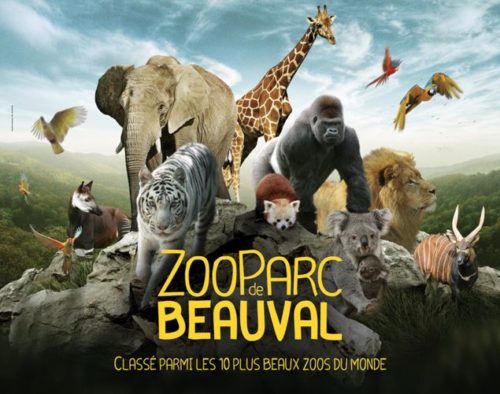 Sortie au zoo Parc de Beauval